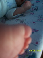 Click pentru poza mare