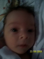 Click pentru poza mare